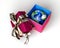 Gift package, with a ribboned open cup, with planet Earth inside,