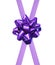 Gift purple ribbon