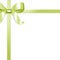 Gift Ribbon with Green Satin Bow