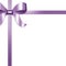 Gift Ribbon with Purple Satin Bow