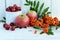 Gifts of autumn: apples, cherry plum, mountain ash on a white background. Still life in yellow, orange, red