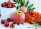 Gifts of autumn: apples, cherry plum, mountain ash on a white background. Still life in yellow, orange, red