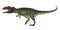 Giganotosaurus dinosaur roaring - 3D render