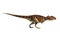 Giganotosaurus on White Background