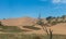 Gigant sand dune in Valparaiso bay. The famous dunes of the city of Concon on the coast of the Pacific Ocean, in Chile