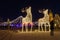 Gigantic reindeers christmas decoration made of led light