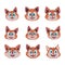 Gigantic set of brilliantly faces of cats. Cartoon style, Vector Illustration