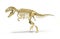 Gigantosaurus dinosaurus full photo-realistic skel