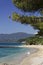 Gigaro beach, French Riviera, Southern France, Europe