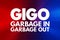 GIGO - Garbage In Garbage Out acronym, technology concept background