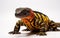 Gila Monster on a White Background -Generative Ai