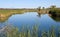 Gila River marsh