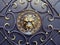 Gilded lion head with forged ornament on a black iron surface