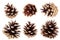 Gilded pine cone - Christmas decoration