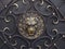 Gilded textured image of a lion`s head with forged ornament on a black iron surface