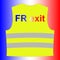 Gilet jaune with text FR exit written on it