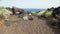 Gimbal shot of volcanic landscape with a trail leading towards the Atlantic Ocean