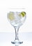 Gin tonic 2