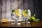 Gin and tonic perfection captured in two elegantly filled glasses
