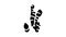 ginger aromatherapy glyph icon animation