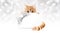 Ginger cat with gift card and silver ribbon bow