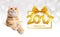 Ginger cat and happy new year 2017 text with ribbon bow