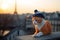 Ginger cat in knitted hat in sunset, EIffel Tower on background. Generative AI