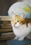 Ginger cat with old books and globe, librarian cat, education