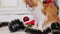 A ginger cat plays with Christmas decorations