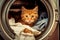 ginger cat sits in a washing machine with an open door and laundry