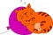 Ginger cat sleeping on ball