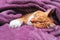 Ginger cat sleeps hiding in a warm blanket