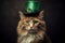 Ginger cat wearing green hat on solid background. Celebrating St. Patrick\\\'s Day in Ireland
