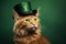 Ginger cat wearing green hat on solid background. Celebrating St. Patrick\\\'s Day in Ireland