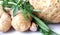 Ginger and celery root with herbs and garlic on a light background