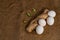 Ginger with four white wggs and broccoli isolated on bagging background