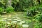 Ginger Garden Pond inside Singapore Botanic Gardens