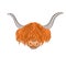 Ginger grunting ox head vector illustration