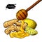 Ginger, honey and lemon vector drawing. Wooden spoon, honey drop, root and fruit slice sketch