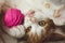 Ginger kitten plays with a ball of thread, pet lying on the bed, happy cat shows tongue