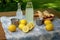 ginger, lemon, sugar, and seltzer water on picnic table