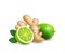 Ginger and lime. Root, green leaf and citrus fruit realistic. Tea or lemonade ingredient,