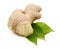 Ginger. Nature, aroma.