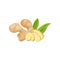 Ginger root with chopped pieces and green leaves. Organic product. Healthy food. Culinary ingredient. Flat vector icon