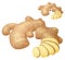 Ginger root illustration. Cartoon vector icon on white background