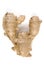 Ginger Root, Isolated