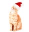 Ginger santa cat.