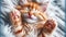 Ginger Slumber: A Cute Kitten\\\'s Tranquil Rest in Soft Furscape