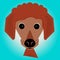 Ginger Standard poodle puppy cartoon