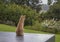 Ginger striped cat sitting upright on charcoal grey wall with back to camera